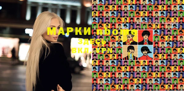 прущие грибы Арсеньев