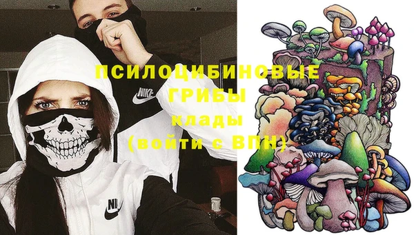 прущие грибы Арсеньев