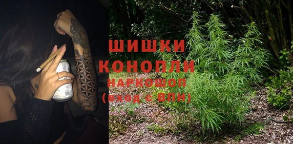 прущие грибы Арсеньев